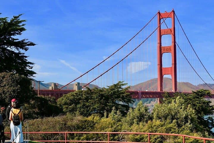 Muir Woods Guided Tour & 24-Hour Hop-On Hop-Off San Francisco and Sausalito photo 2