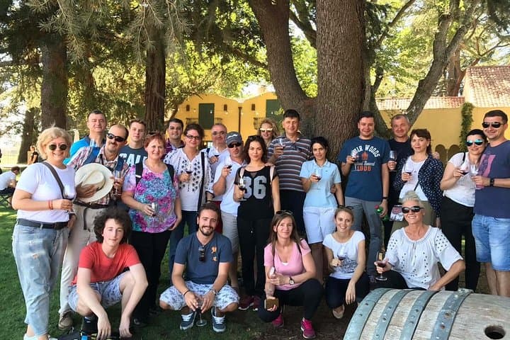 Full-Day Napa and Sonoma Wine Tour from San Francisco — 3 Wineries & Sonoma Square photo 4