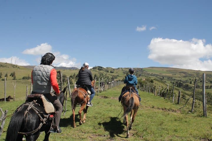 Pifo Rose Farm & Horseback Ride: Private Day Trip from Quito