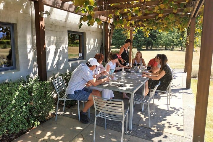 Marlborough Afternoon Wine Tour: 3-Cellar Tasting from Blenheim & Renwick