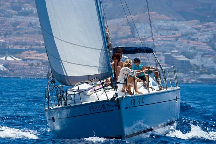 Tenerife 3-Hour Sail: Whales, Dolphins & Snorkel from Puerto Colón