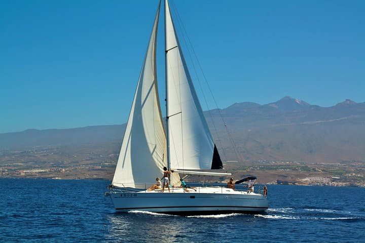 Tenerife 3-Hour Sail: Whales, Dolphins & Snorkel from Puerto Colón photo 2