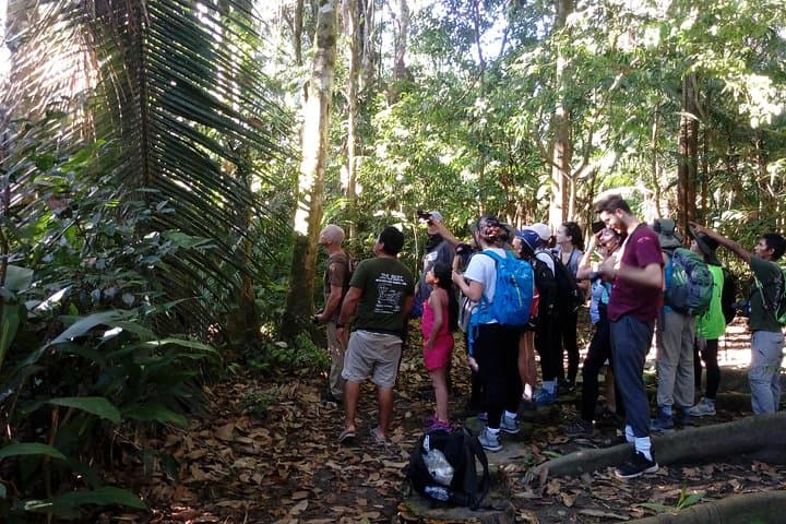 4-Day Tambopata Amazon Jungle Tour From Cusco — Sandoval Lake, Clay Licks & Ese Eja Visit photo 3