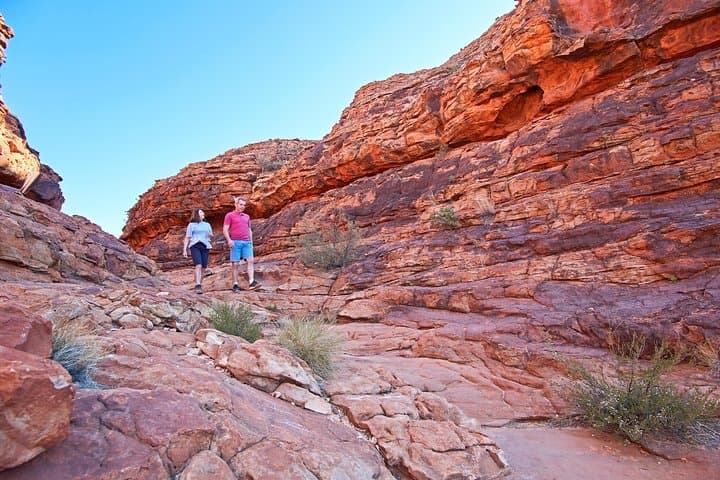 Kings Canyon Day Trip from Uluru — Rim Walk, Creek Bed & Outback Station photo 3