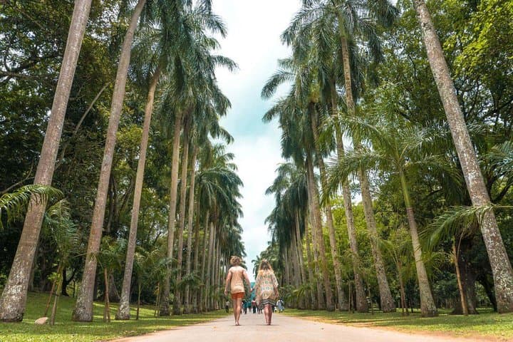 Kandy Day Tour from Colombo: Peradeniya Botanical Gardens, Temple of the Tooth & Cultural Show photo 3