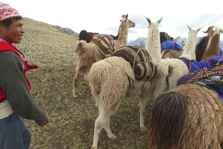 Llama Trek to Huchuy Qosqo: 2-Day Lamay Andean Hike from Cusco photo 1