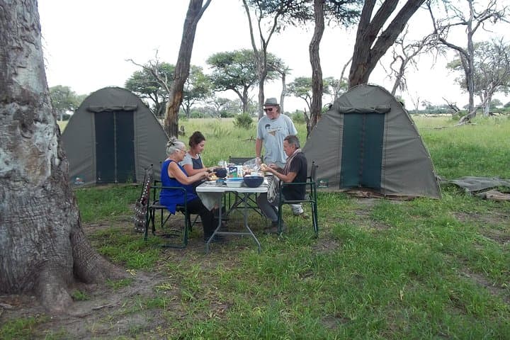 3-Day Central Kalahari Game Reserve Safari from Maun photo 2