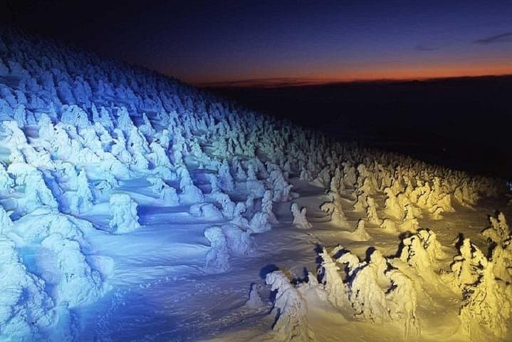 Zao Snow Monsters: 2-Day Juhyo Night Illumination and Onsen Escape from Tokyo