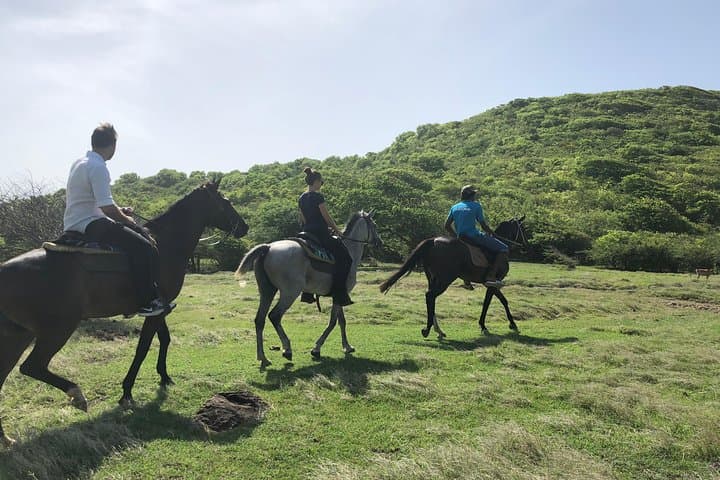 Advanced Horseback Beach Ride in St. Lucia — Sandy Hoofs Coastal Canter & Swim photo 3