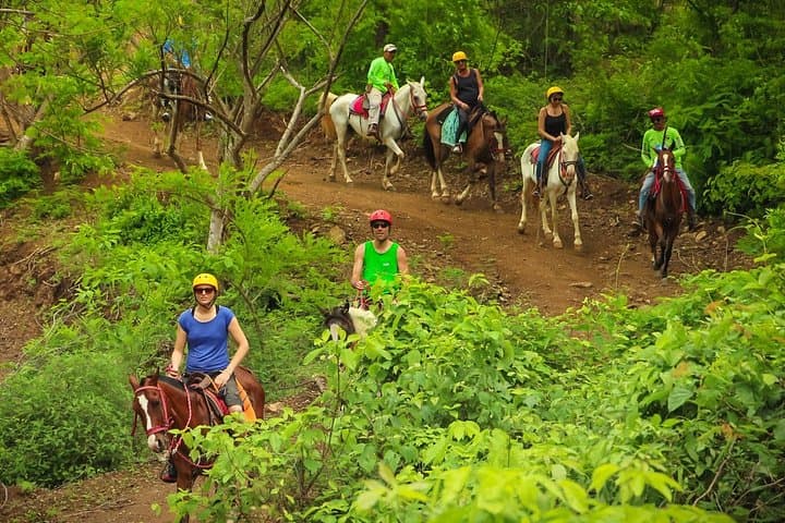 Coastal Horseback Riding at Diamante Eco Adventure Park — Playa Hermosa’s Dry Forest to Pacific photo 4