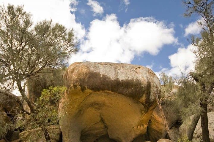 Wave Rock Day Trip from Perth: York, Wildflowers & Aboriginal Culture photo 2