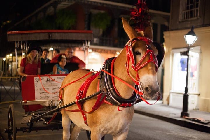 New Orleans Haunted Carriage Tour: Small-Group Ghosts & French Quarter Stories