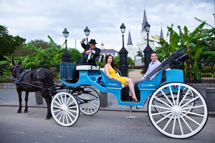 Private Mule-Drawn Carriage Tour of the French Quarter — New Orleans