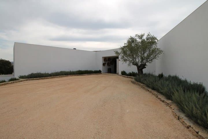 Full-Day Ronda Wine Tour: Finca La Melonera & Ronda Highlights photo 4