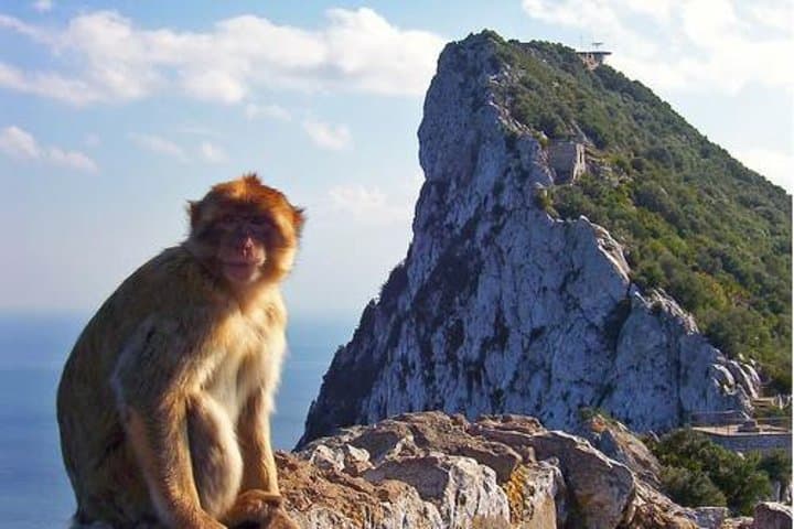 Day Trip to the Rock of Gibraltar: St Michael's Cave, Monkeys & Europa Point from Seville photo 5