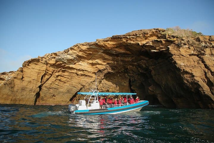 Hunter Coastal Adventure Cruise from Newcastle — Sea Caves, Dolphins & Forts photo 1