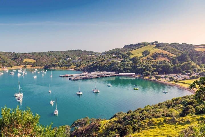 Waiheke Island Private Luxury Wine Tour from Auckland