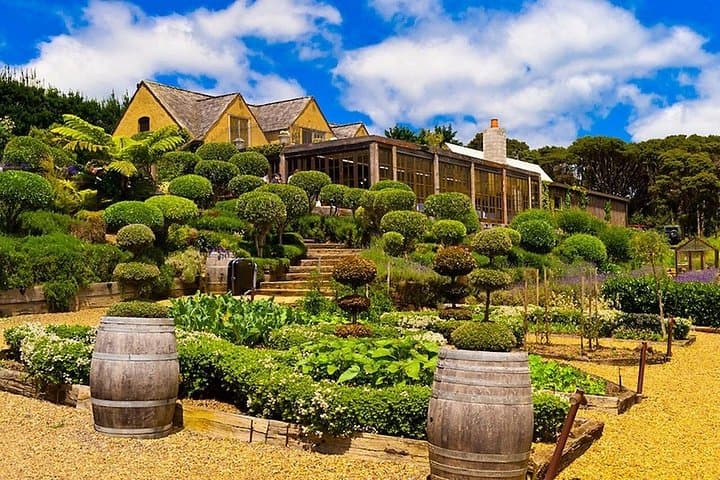 Waiheke Island Private Luxury Wine Tour from Auckland photo 2
