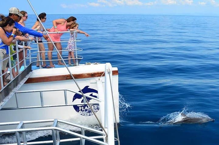 Manuel Antonio Catamaran Eco Adventure — Snorkel, Wildlife & Pacific Views photo 3