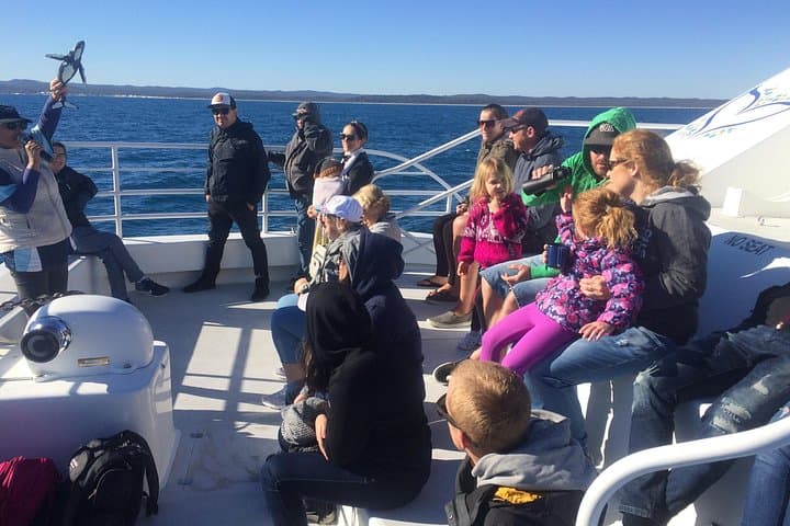Hervey Bay Half-Day Whale Watching Cruise on MV Whalesong photo 5