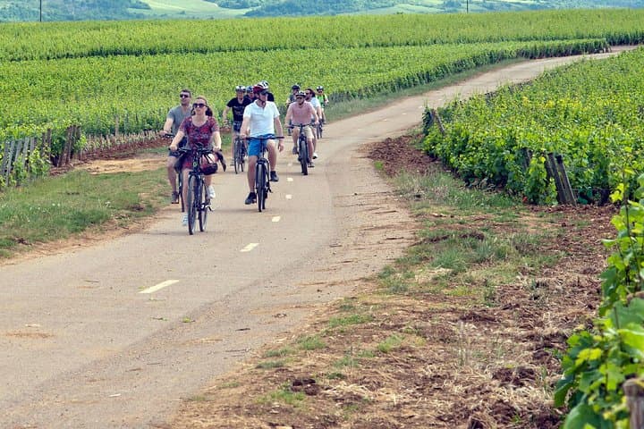 E‑Bike the Côte de Nuits: Day Ride Through Pinot Noir Villages from Dijon