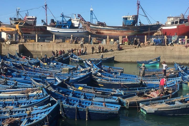 Day Trip to Essaouira (Mogador) and the Argan Tree Forests from Marrakech photo 1
