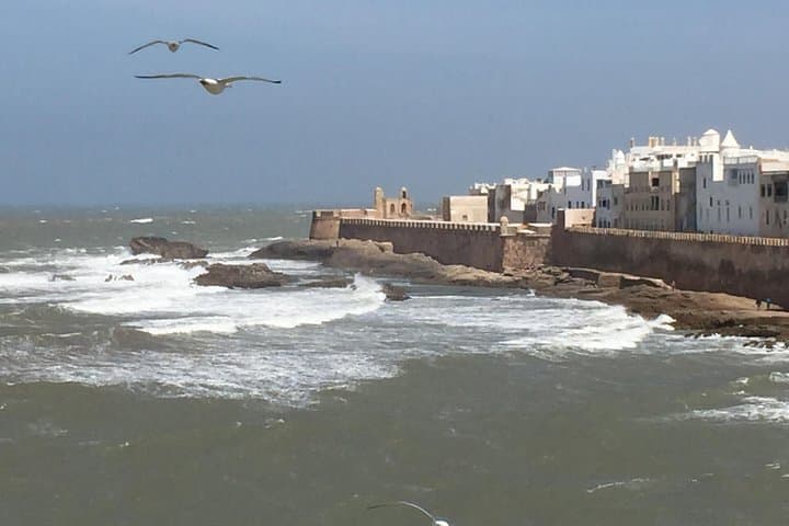 Day Trip to Essaouira (Mogador) and the Argan Tree Forests from Marrakech photo 2