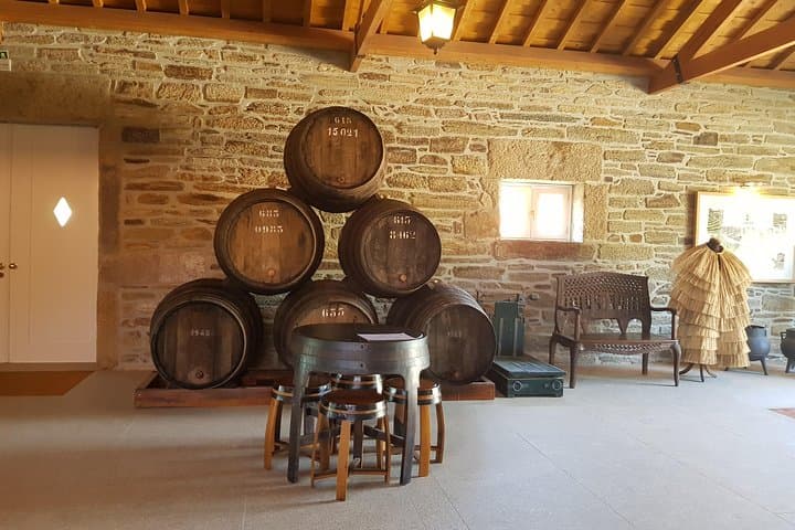 Douro Valley Wine Tour: 4 Vineyard Visits and Lunch from Porto photo 4