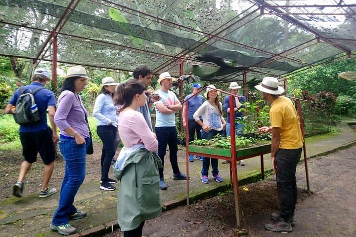 Hacienda Coloma Coffee Tour from Bogotá — Exclusive Farm Visit & Tasting photo 2