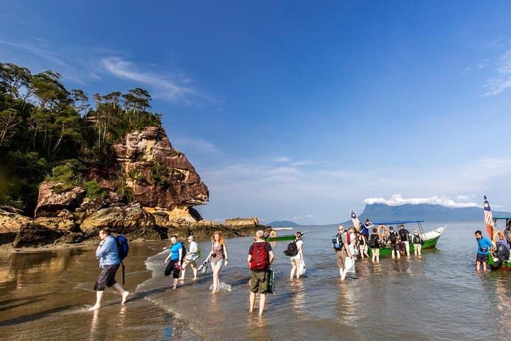 Bako National Park Tour: Rainforest Wildlife & Coastal Trails from Kuching photo 4