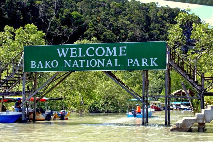 Bako National Park Day Tour — Proboscis Monkeys, Sea Stacks & Borneo Rainforest photo 6