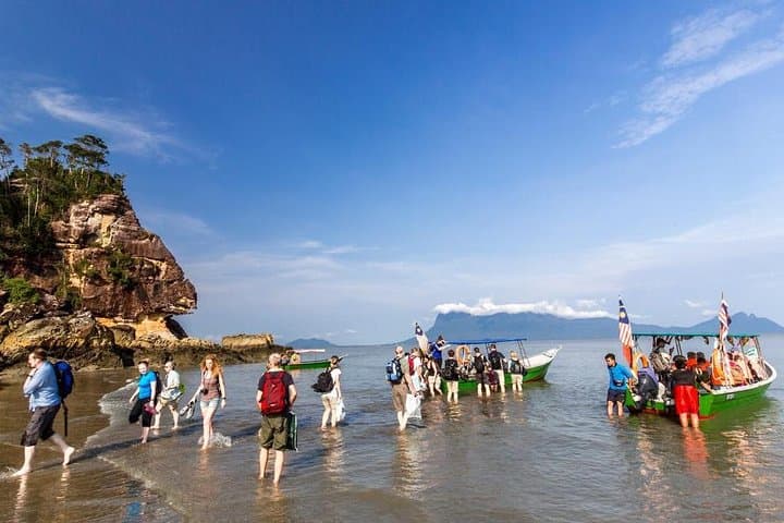Bako National Park Day Tour — Proboscis Monkeys, Sea Stacks & Borneo Rainforest photo 4