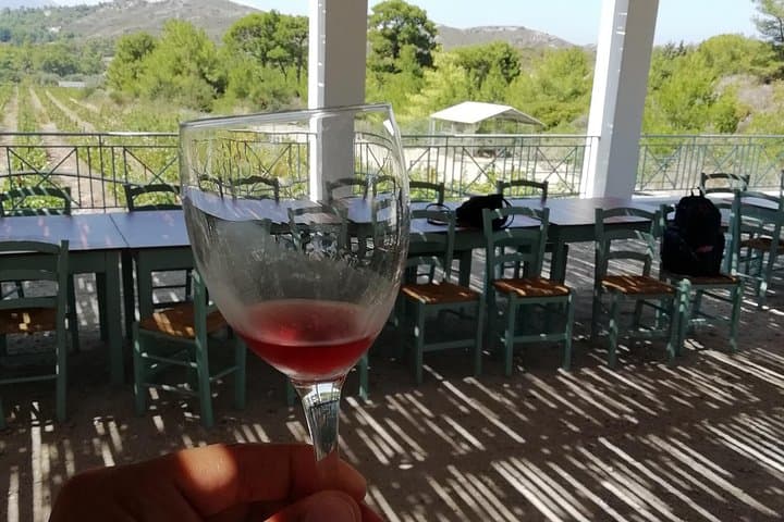 Valley of the Butterflies & Rhodes Wine Tasting: Private Half-Day Tour photo 3