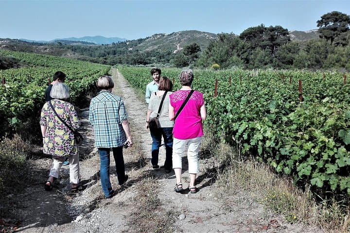 Valley of the Butterflies & Rhodes Wine Tasting: Private Half-Day Tour photo 4