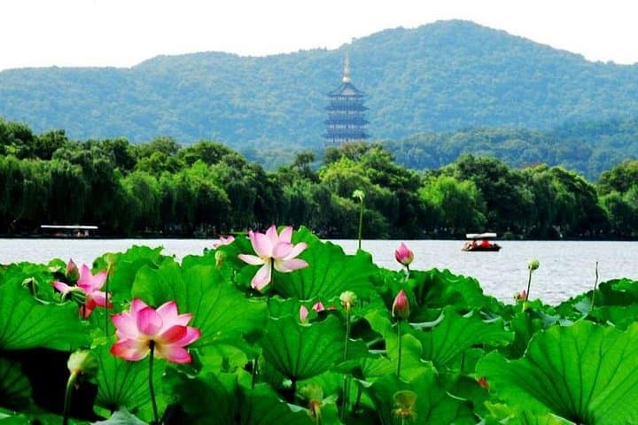 Hangzhou in a Day: Bullet Train West Lake, Faxi Temple & Longjing Tea Experience photo 1