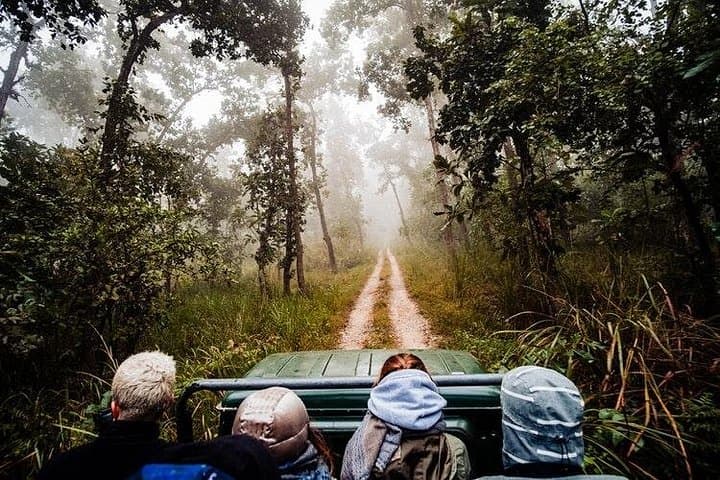 3-Day Chitwan Jungle Exploration from Pokhara — Sauraha Wildlife Safari photo 2