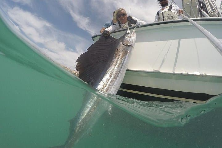 Miami Big Game Deep-Sea Fishing with Captain Mark the Shark photo 3