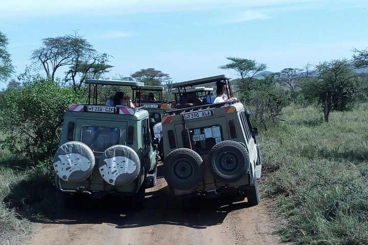 Full-Day Mikumi National Park Safari from Dar es Salaam photo 4