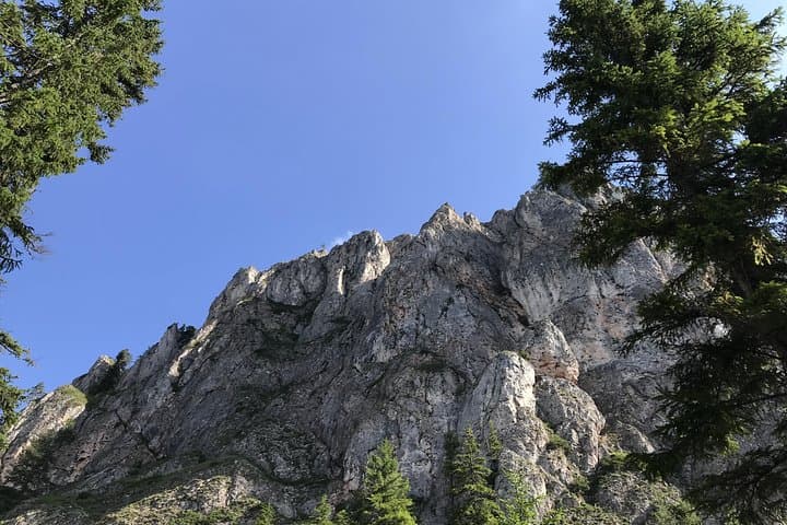 Via Ferrata Above Red Lake: Lacu Roșu Guided Climb & Suspension Bridge photo 2