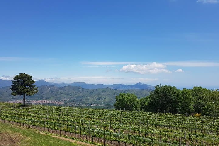 Mount Etna Silvestri Craters and Winery Day Trip from Catania photo 2