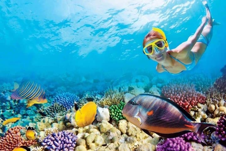 Day Trip to Key West: Coral Reef Snorkeling & Open-Bar Catamaran