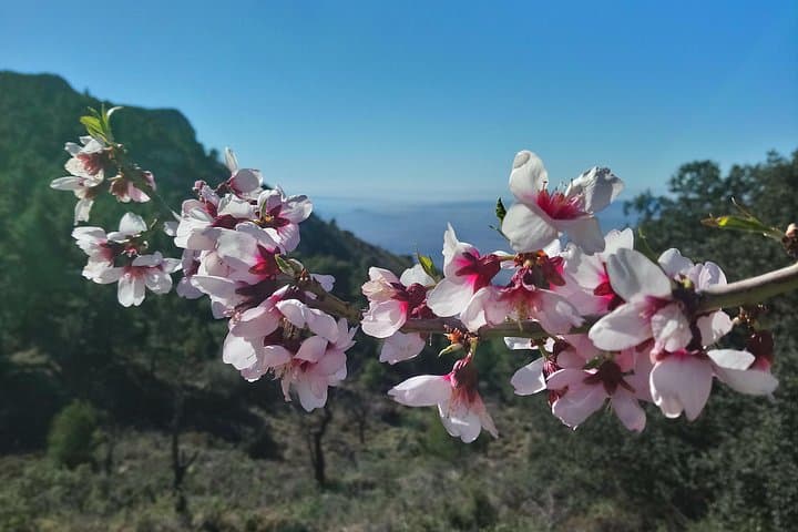 Guided Walks on Spain's Costa Blanca: Puig Campana, Aitana & Guadalest Trails photo 4