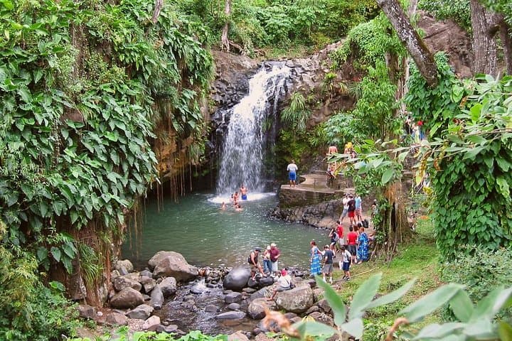 Grenada Spice Gardens, Rum & Chocolate Tour — Full or Half Day Island Experience photo 6