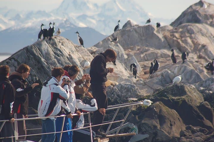 Sailing the Beagle Channel from Ushuaia: Sea Lions, Lighthouse Views & Yamana Walk photo 3