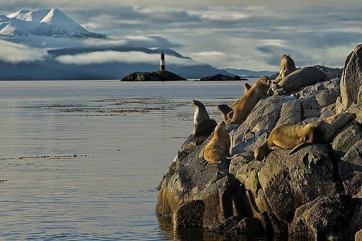 Sailing the Beagle Channel from Ushuaia: Sea Lions, Lighthouse Views & Yamana Walk photo 4