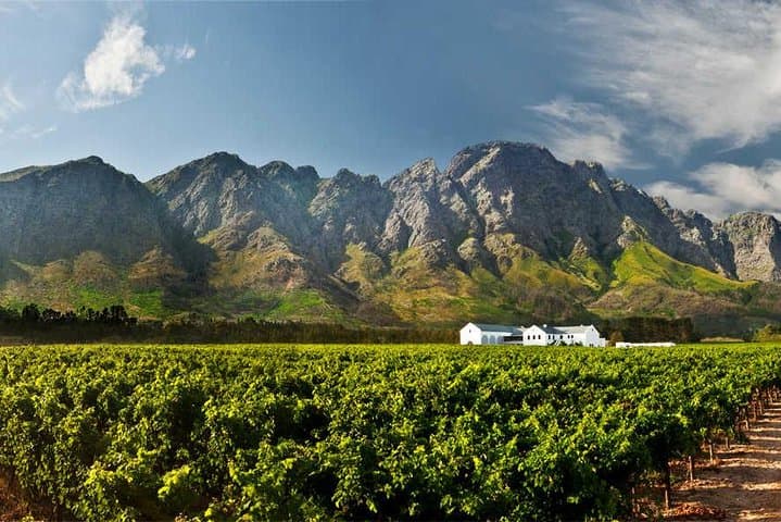 Cape Winelands Full-Day Wine Tour: Stellenbosch, Franschhoek & Paarl photo 3