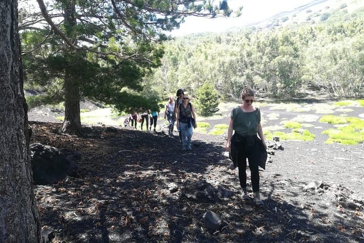 Mount Etna Half-Day Hike from Taormina — Craters, Lava Caves & Tasted Wine photo 5