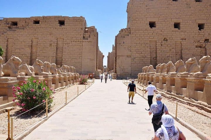 Sail the Nile: 4-Night Luxor to Aswan Cruise with Abu Simbel & Train Transfer photo 2