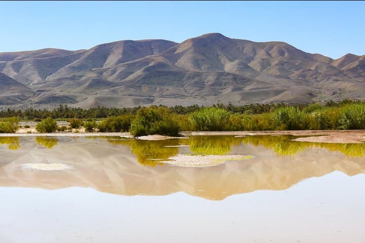 Ouarzazate to Zagora Day Trip: Kasbahs, Dunes & Camel Ride photo 2