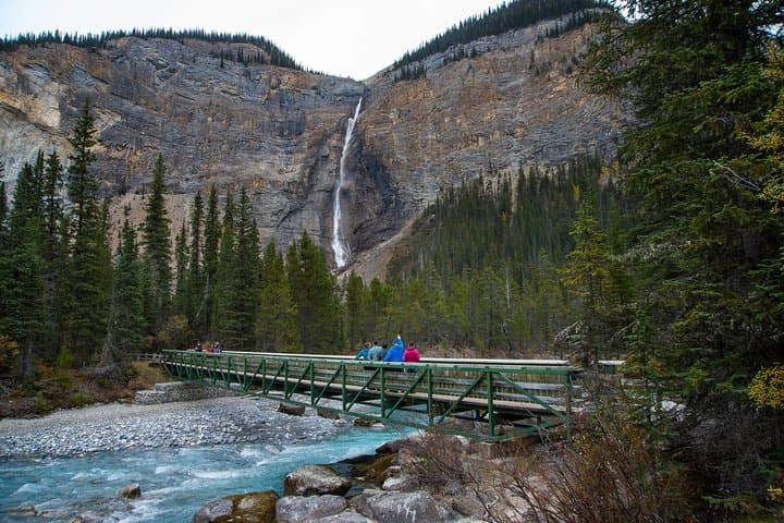 Grizzly Bear Viewing & Yoho National Park Day Trip from Banff photo 5